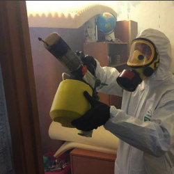 Уничтожение клопов в квартире. Ясногорск